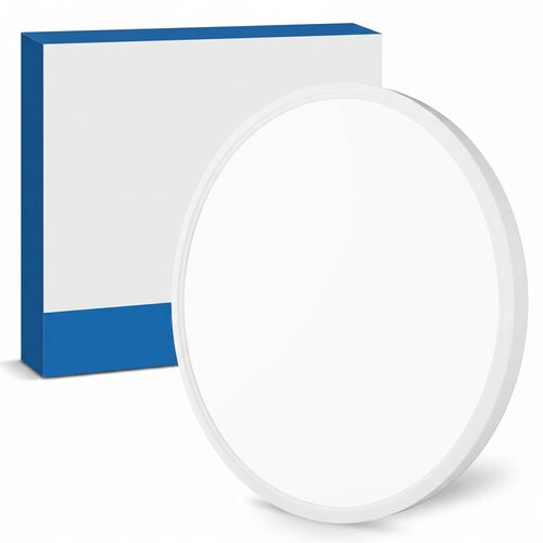 12-Inch LED Flush Mount Ceiling Light